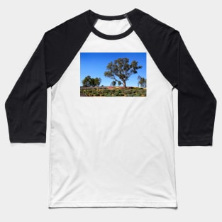 Gum tree among the lavender Baseball T-Shirt